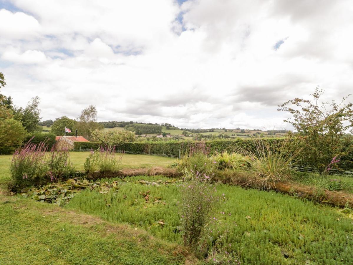 Yeoman Cottage Crewkerne Exterior foto